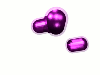 haemophilus influenzae